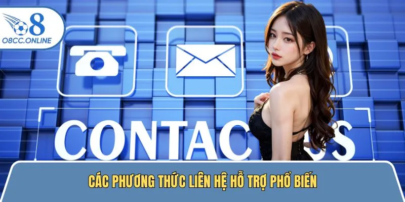 Hình thức liên hệ phổ biến được O8 hỗ trợ